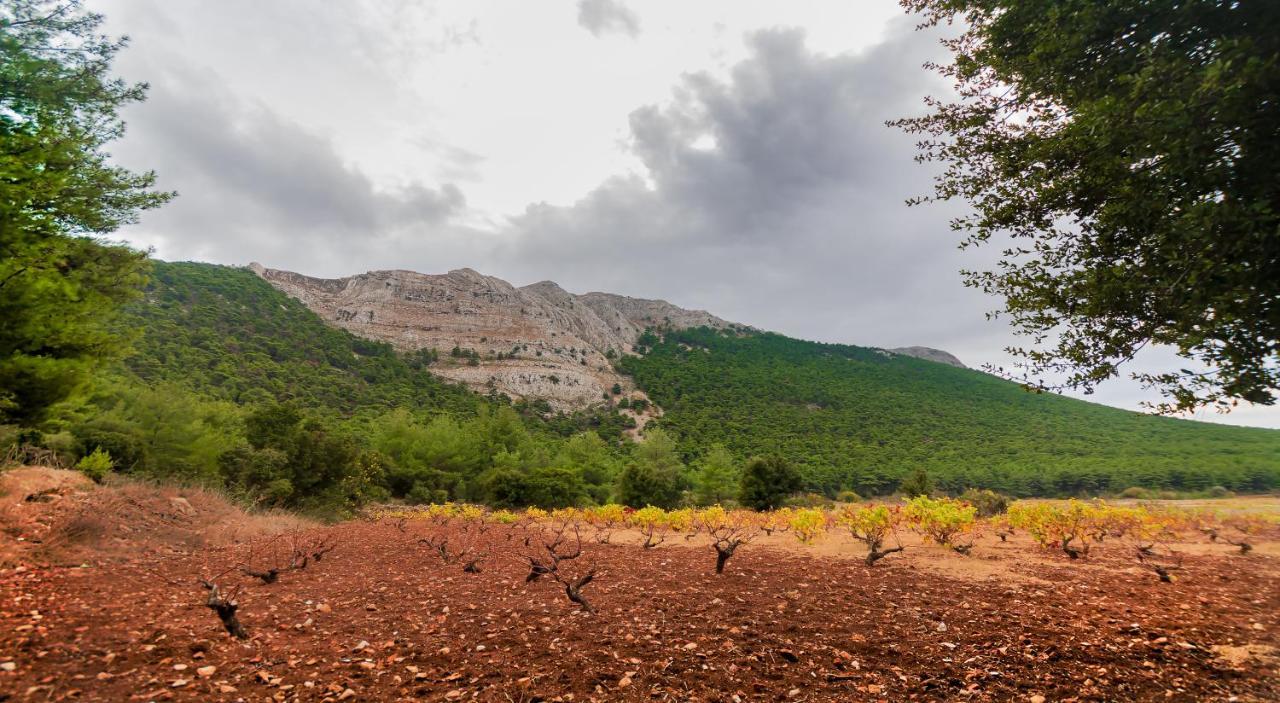 Limeri Traditional Kro Monolithos (Rhodes)